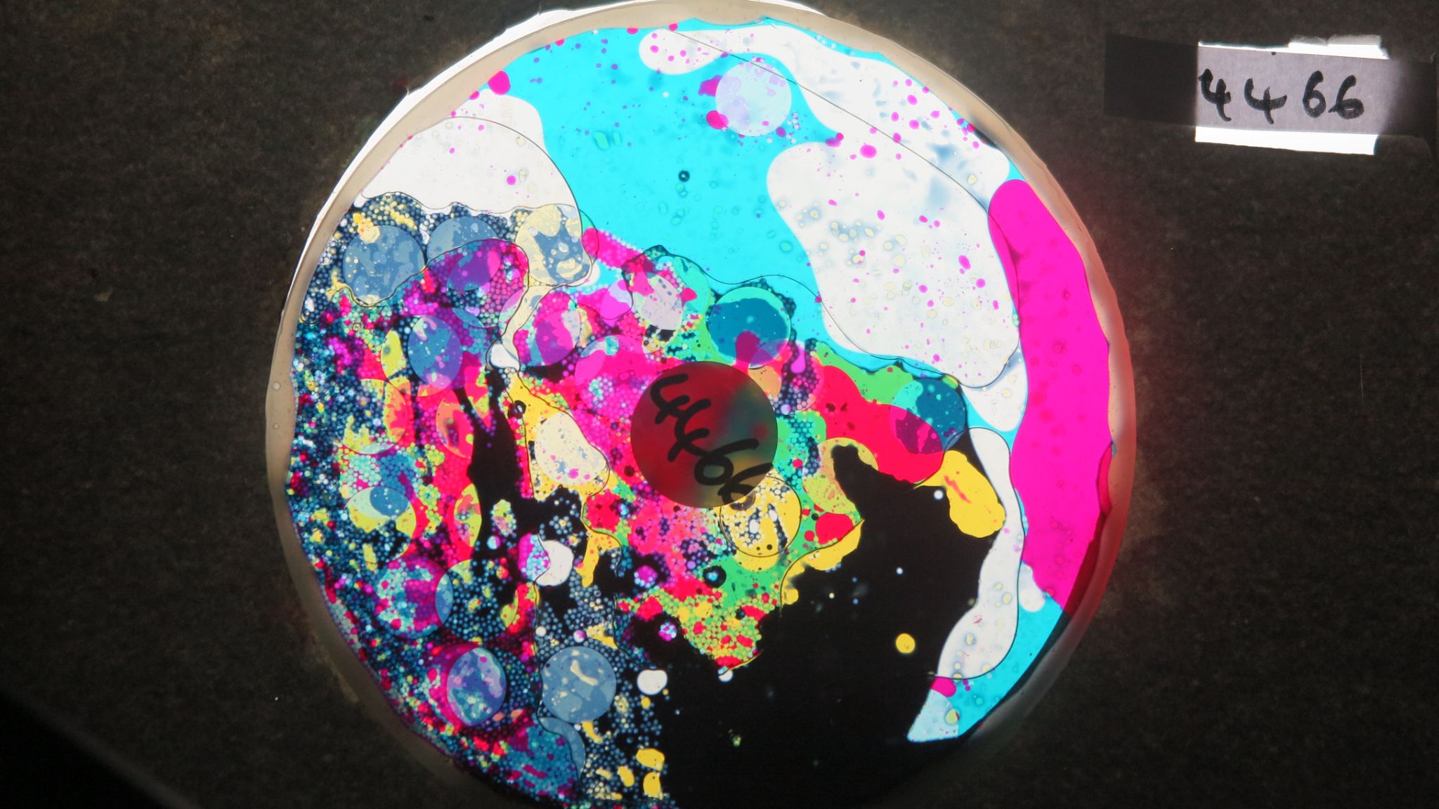 BV4466 bubble vision oil wheel